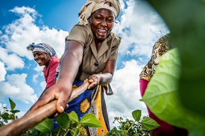 Kenyan woman smiles as she cuts crops. Low-income individuals like field workers often face unstable income flows and difficulty in using formal financial services.